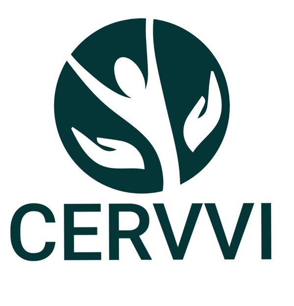 CERVVI Logo